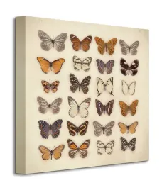 butterfly-collection-obraz-na-plotnie-40x40-cm
