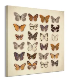 butterfly-collection-obraz-na-plotnie-85x85-cm