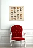 butterfly-collection-obraz-na-plotnie-85x85-cm-stan-nowy