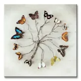 butterfly-harmony-motyle-obraz-na-plotnie-40x40-cm-stan-nowy