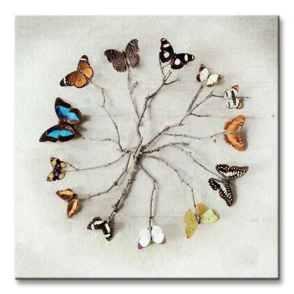 butterfly-harmony-motyle-obraz-na-plotnie-40x40-cm