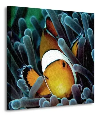 blazenek-obraz-na-plotnie-40x40-cm