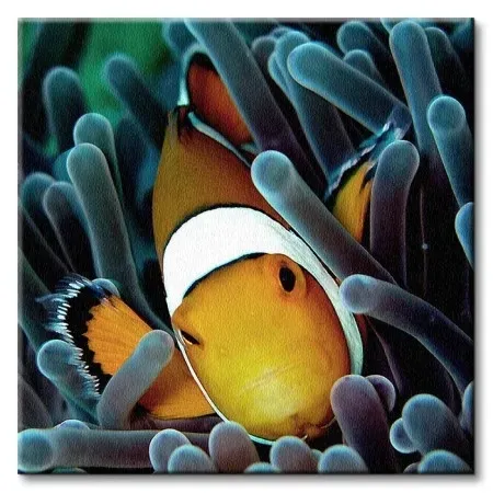 blazenek-obraz-na-plotnie-40x40-cm