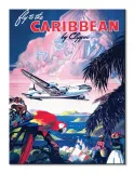 caribbean-obraz-na-plotnie-30x40-cm-stan-nowy
