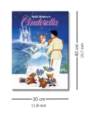 cinderella-obraz-na-plotnie-30x40-cm-stan-nowy
