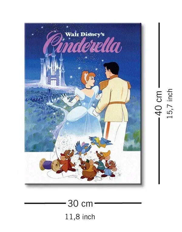 cinderella-obraz-na-plotnie-30x40-cm