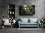 coast-path-plymouth-obraz-na-plotnie-30x20-cm-stan-nowy