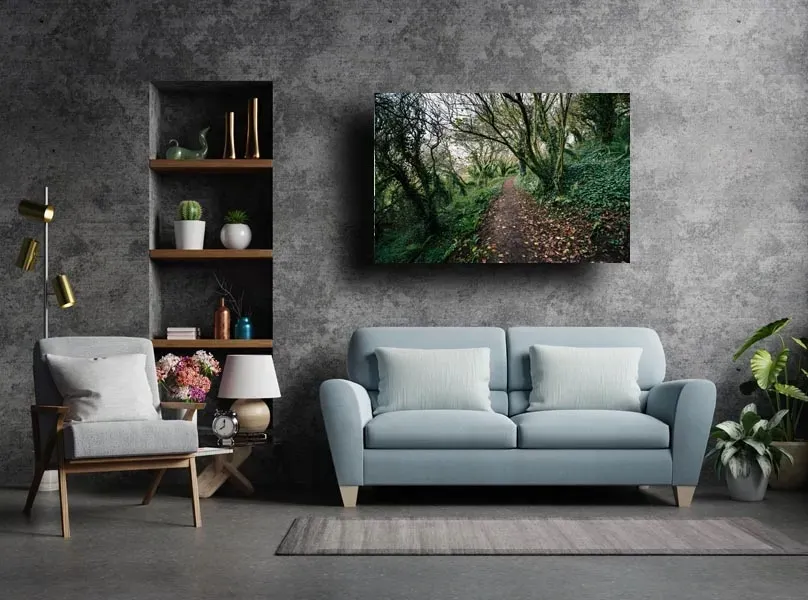 coast-path-plymouth-obraz-na-plotnie-30x20-cm