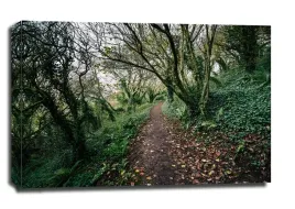 coast-path-plymouth-obraz-na-plotnie-60x40-cm