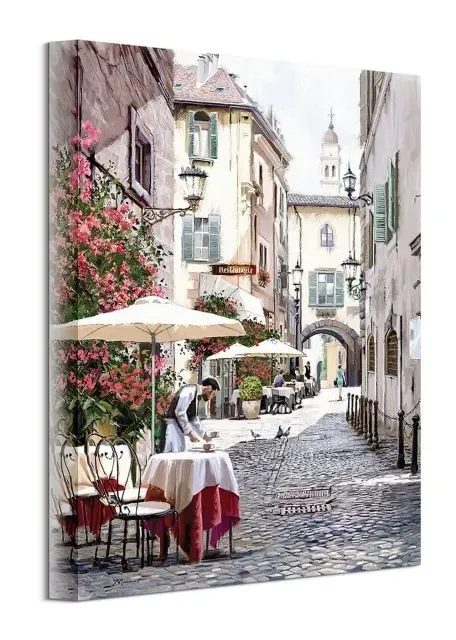 cobbled-street-obraz-na-plotnie-30x40-cm-stan-nowy