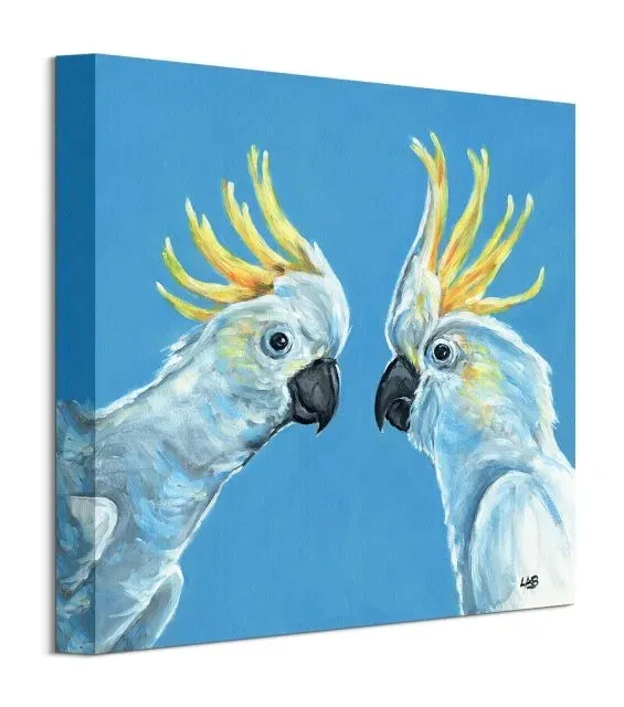 cockatwo-obraz-na-plotnie-30x30-cm-stan-nowy