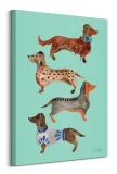 dachshunds-obraz-na-plotnie-60x80-cm