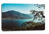 danau-buyan-obraz-na-plotnie-80x60-cm