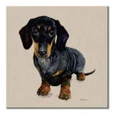 danny-obraz-na-plotnie-60x60-cm-stan-nowy