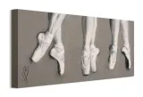 dancing-feet-obraz-na-plotnie-60x30-cm