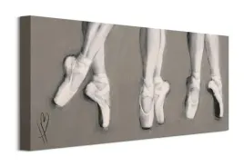 dancing-feet-obraz-na-plotnie-60x30-cm