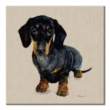 danny-obraz-na-plotnie-30x30-cm-stan-nowy