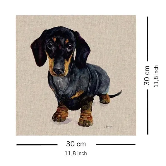 danny-obraz-na-plotnie-30x30-cm-stan-nowy