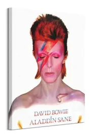 david-bowie-aladdin-sane-obraz-na-plotnie-60x80-cm