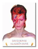 david-bowie-aladdin-sane-obraz-na-plotnie-60x80-cm-stan-nowy