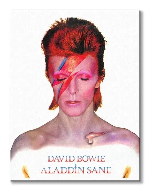 david-bowie-aladdin-sane-obraz-na-plotnie-60x80-cm