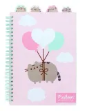 pusheen-ozdobny-notes
