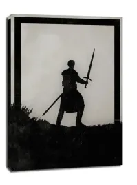 dawn-of-heroes-brienn-of-tarth-gra-o-tron-obraz-na-plotnie-40x50-cm
