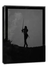 dawn-of-heroes-ciri-wiedzmin-obraz-na-plotnie-40x60-cm