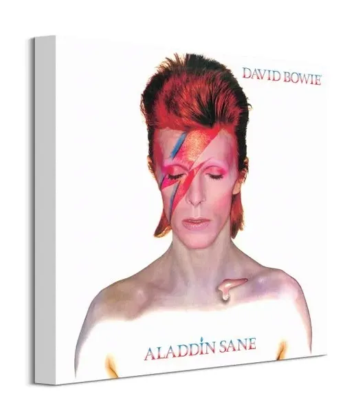 david-bowie-aladdin-sane-obraz-na-plotnie-40x40-cm