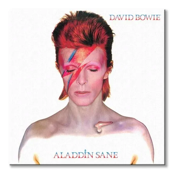david-bowie-aladdin-sane-obraz-na-plotnie-40x40-cm