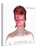 david-bowie-aladdin-sane-obraz-na-plotnie-85x85-cm