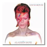 david-bowie-aladdin-sane-obraz-na-plotnie-85x85-cm-stan-nowy