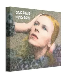 david-bowie-hunky-dory-obraz-na-plotnie-40x40-cm