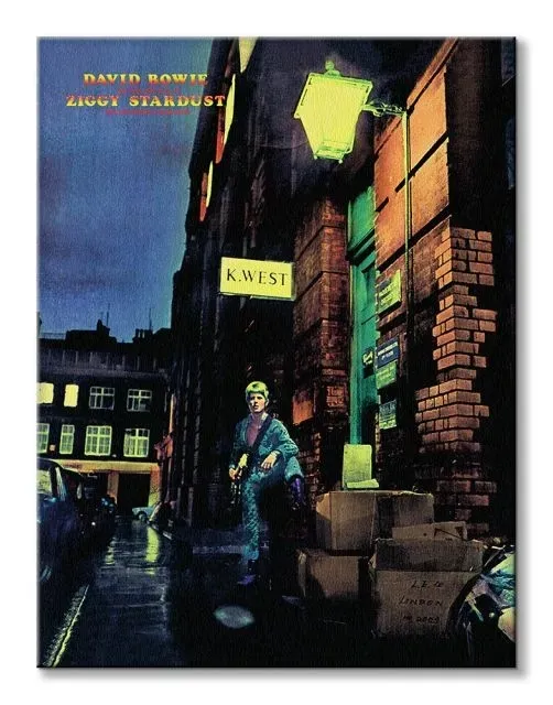 david-bowie-ziggy-stardust-obraz-na-plotnie-60x80-cm