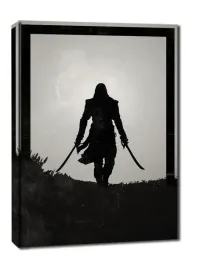 dawn-of-heroes-edward-kenway-assassins-creed-obraz-na-plotnie-50x70-cm