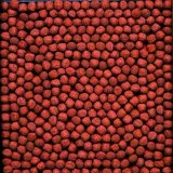 hikari-cichlid-gold-medium-250g-pielegnice-marka-hikari