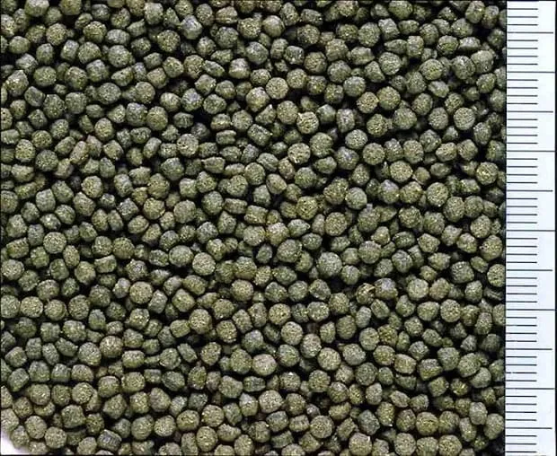 hikari-cichlid-excel-mini-sinking-100g-pokarm-marka-hikari