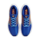 pegasus-turbo-nature-kod-producenta-fd0717400