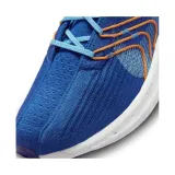 pegasus-turbo-nature-marka-nike-rozmiar-39