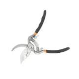 sekator-do-galezi-motive