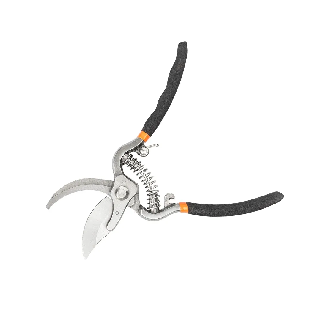 sekator-do-galezi-motive