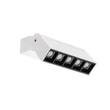 focus-mini-led