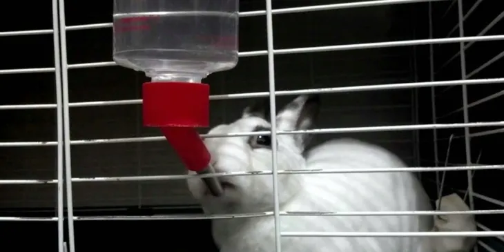 poidelko-classic-de-luxe-150-ml-kerbl-typ-poidlo-kulkowe