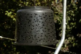 klej-na-muchy-taonx-15-kg-cit