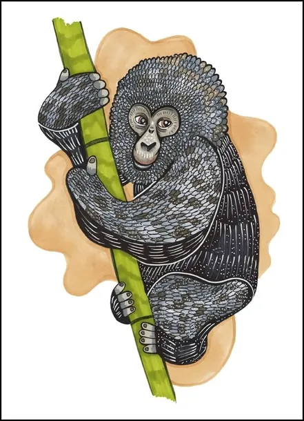 monkey-plakat-50x70-cm