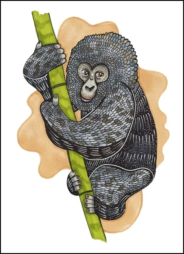 monkey-plakat-50x70-cm