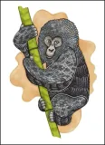 monkey-plakat-70x100-cm