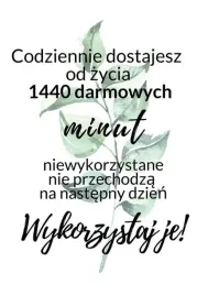 niewykorzystane-minuty-plakat-61x915-cm