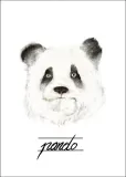 panda-plakat-50x70-cm