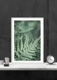 paproc-plakat-40x60-cm-stan-nowy